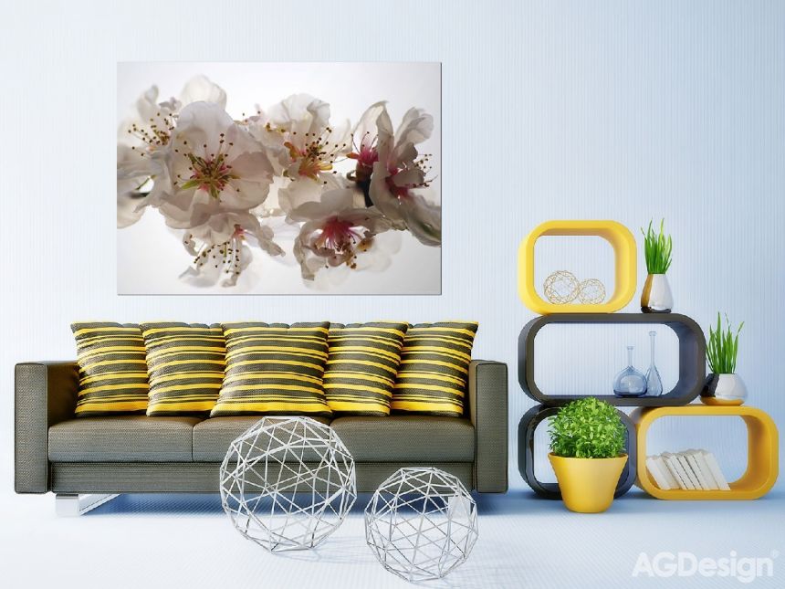 Fototapeta na zeď FTN M 2654, Rozkvetlá větvička, 160 x 110 cm, AG Design