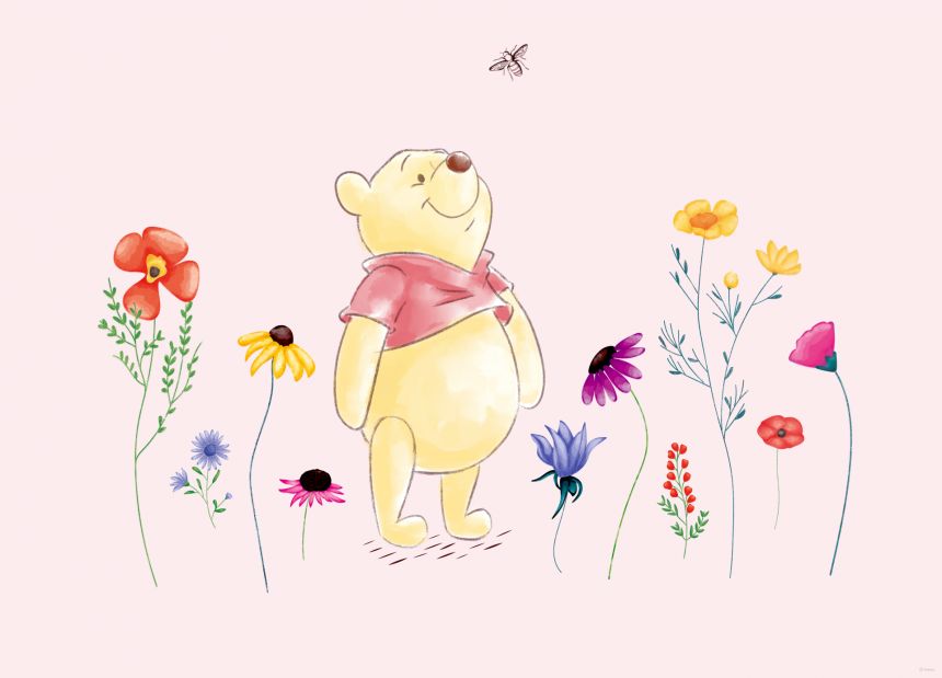 Dětská vliesová obrazová tapeta FTDN M 5266, Disney, Medvídek Pů, 160 x 110 cm, AG Design