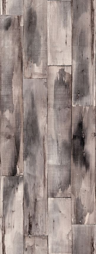 Vliesová obrazová tapeta na stenu, sivá, drevo, FW4051-11, Feature Walls, Decoprint
