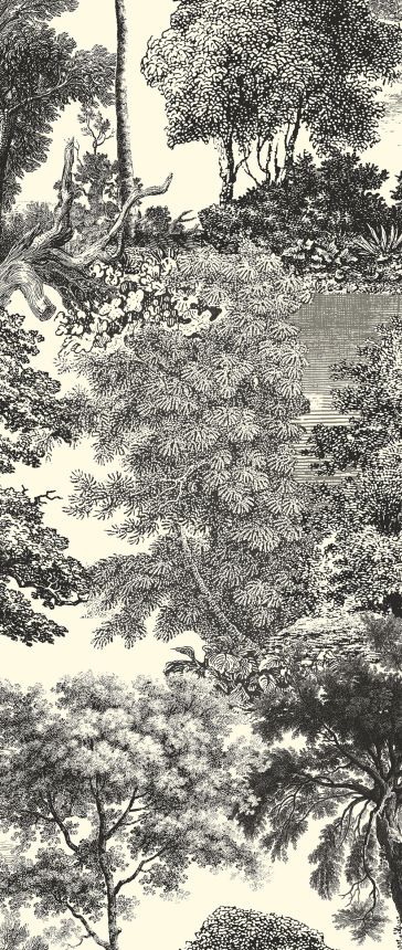 Obrazová tapeta, čierna, les, stromy, DGSAL1014-300, Amazone, Masureel