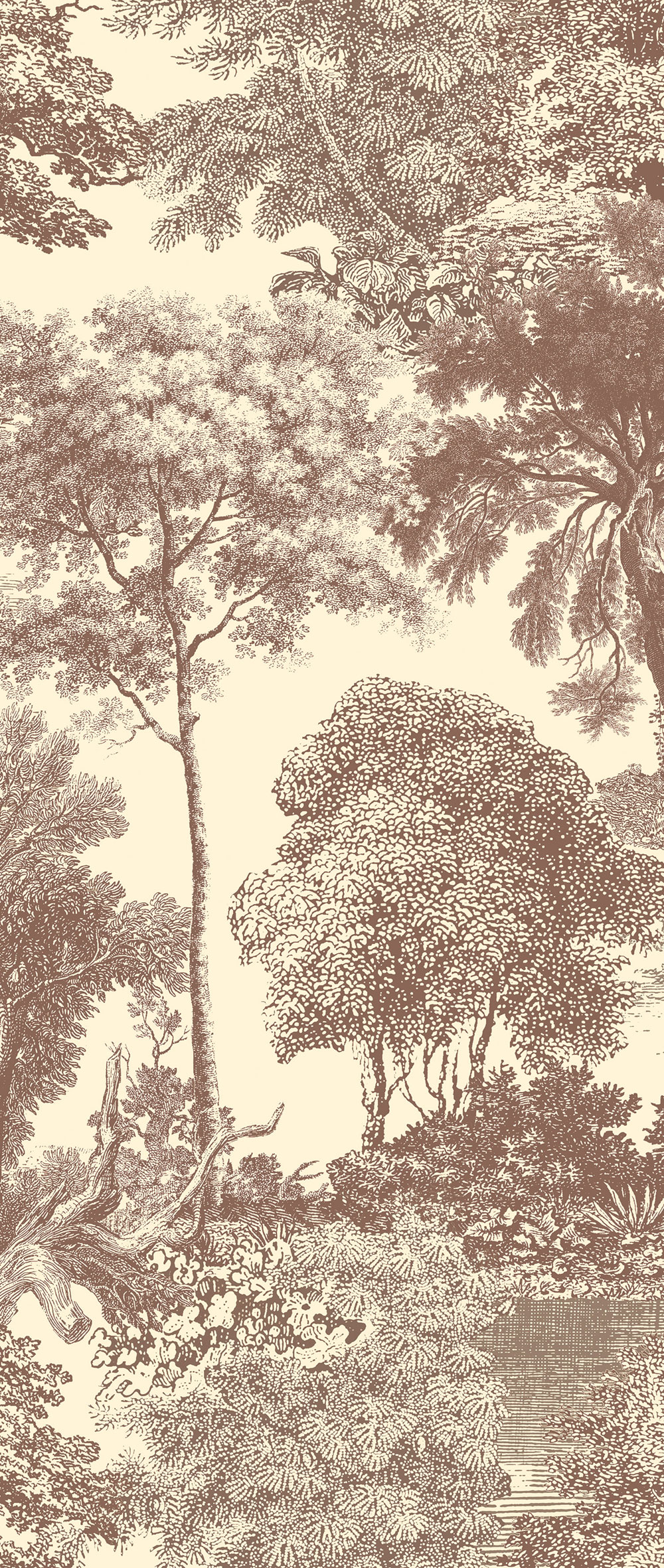 Obrazová tapeta, hnedá, les, stromy, DGSAL1042-300, Amazone, Masureel