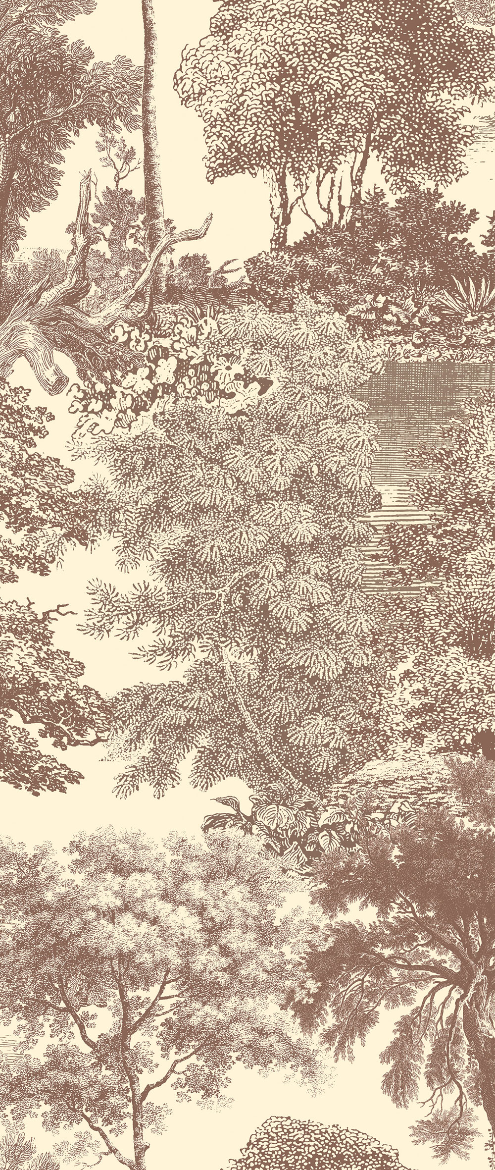 Obrazová tapeta, hnedá, les, stromy, DGSAL1044-300, Amazone, Masureel