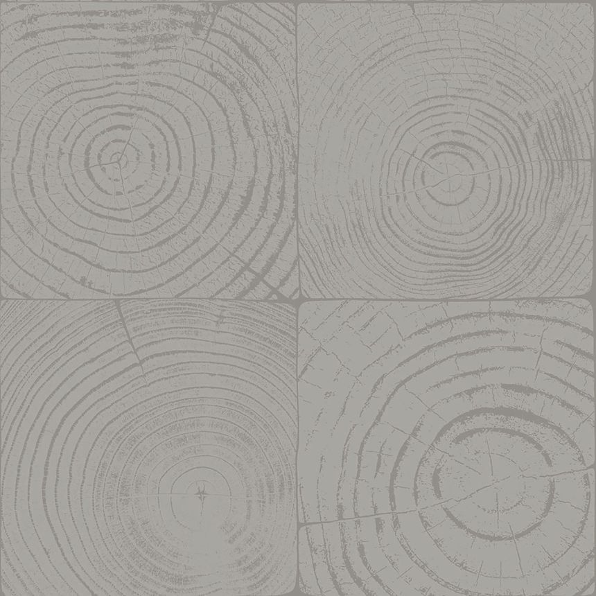 Sivá vliesová tapeta imitácie dreva s letokruhmi 347548, Matières - Wood, Origin
