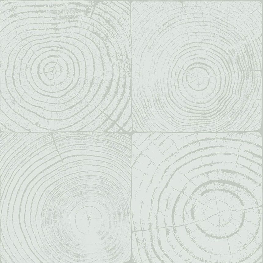 Svetlo tyrkysová vliesová tapeta imitacia dreva s letokruhmi 347545, Matières - Wood, Origin