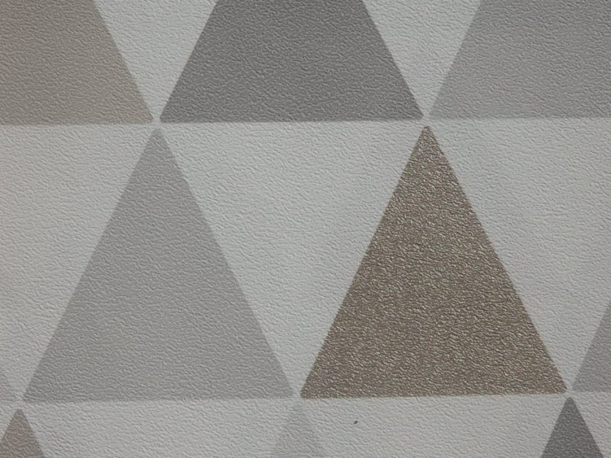 Vliesová tapeta na stenu geometrický vzor 103167, Vavex 2019, Vavex
