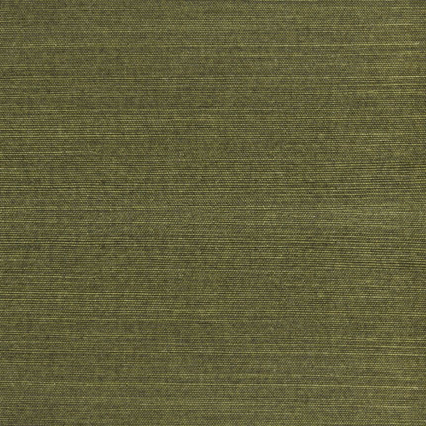 Prírodná tapeta na stenu 303501, Natural Wallcoverings III, Eijffinger