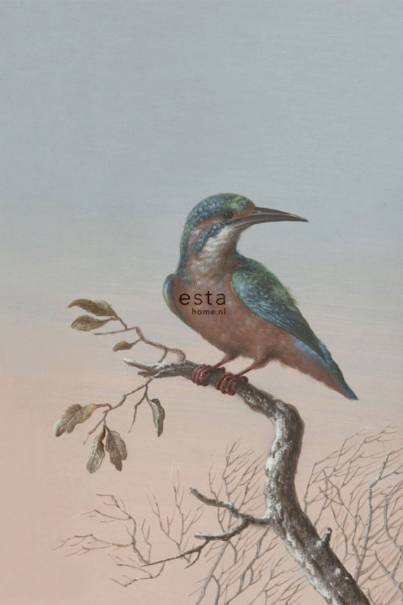 Vliesová fotoapeta, Rybárik 158888, 186 x 279 cm, Blush, Esta Home